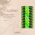 Collare in paracord Calipso
