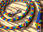 Guinzaglio in paracord 12 fili