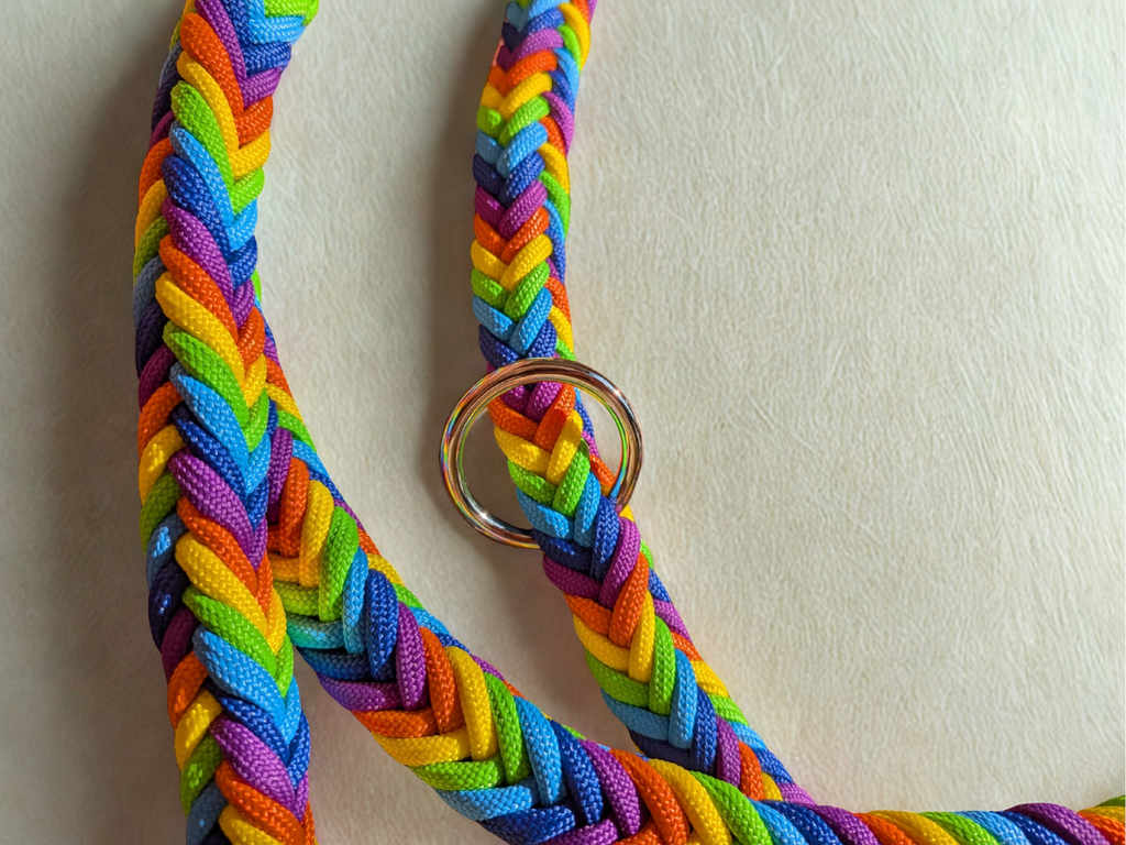Guinzaglio in paracord 12 fili