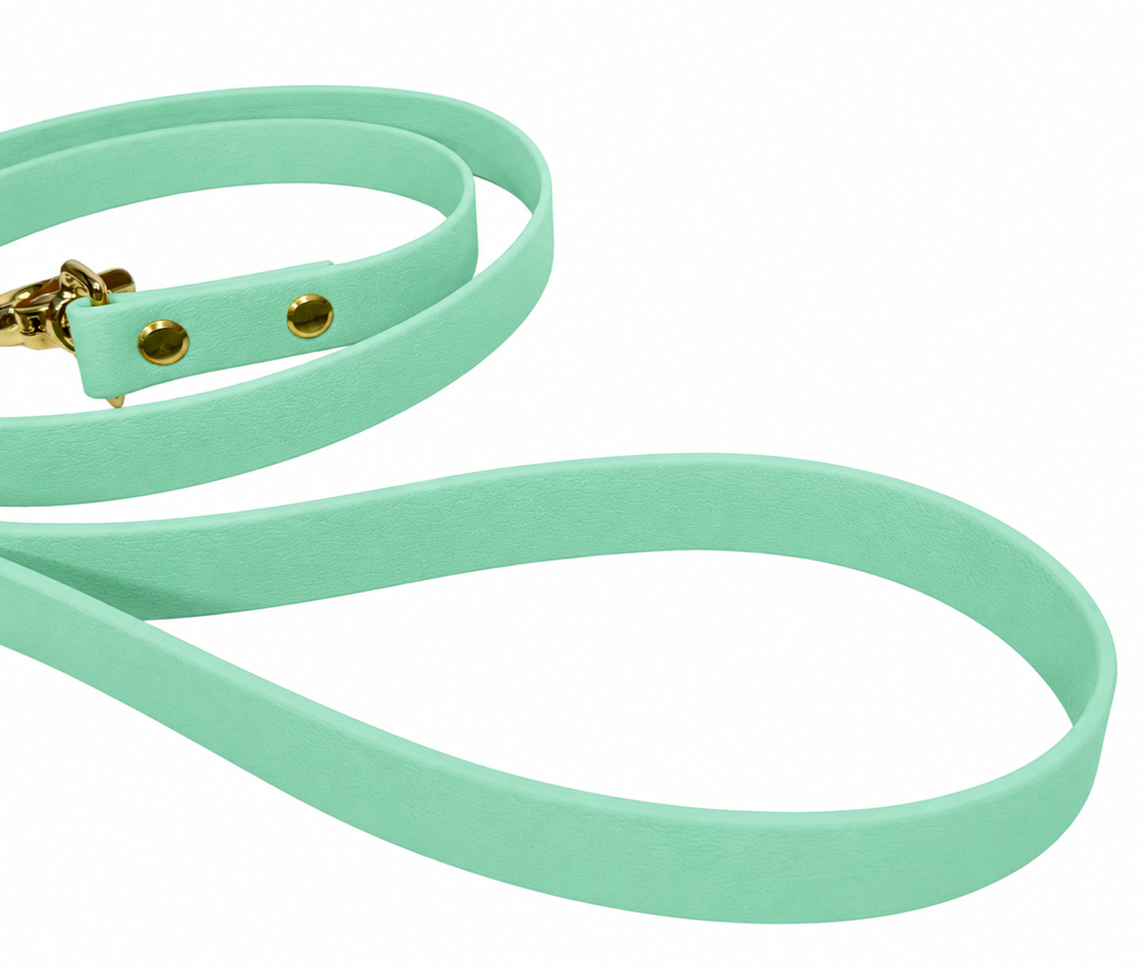 Guinzaglio Biothane Menta