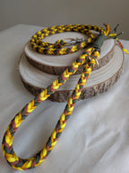 Guinzaglio in paracord Kronos